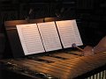 RealNewMusic 2008 (11)